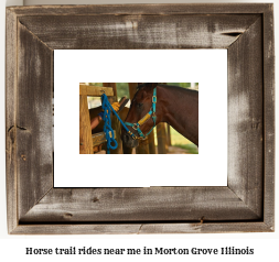 horse trail rides near me in Morton Grove, Illinois